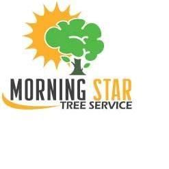 Morning Star Tree Service