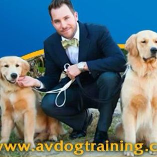 AV Dog Training
