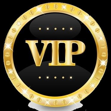 Las Vegas VIP Servies