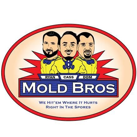 Mold Bros LLC