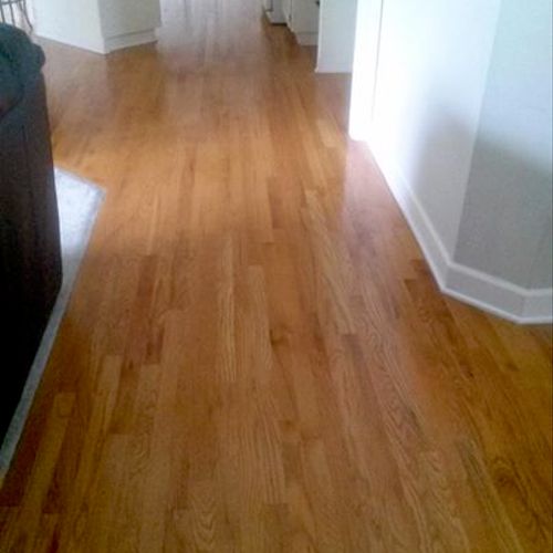 Cleaned and polished floors