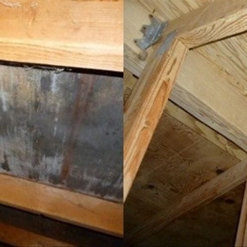 Portland Attic Mold cleaning and removal