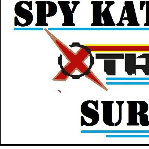 Spy Katz Surveillance