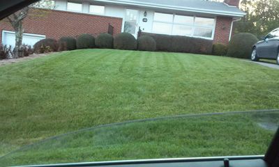 Avatar for Perry's Mowing Service
