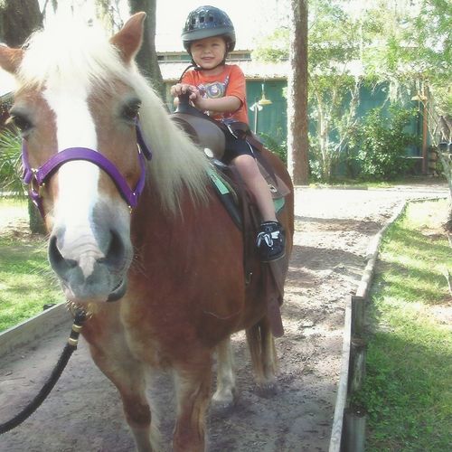 Jaxon on his pony