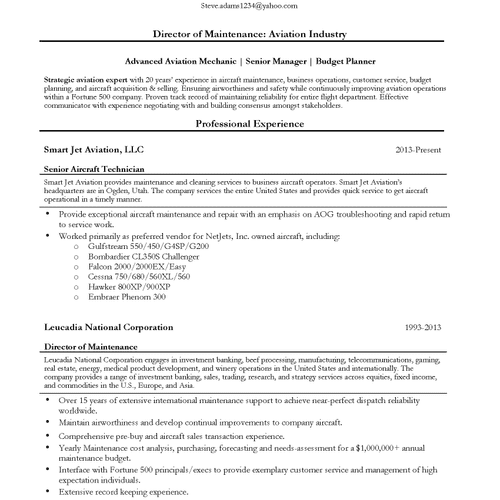 #1 Resume Example Page 1