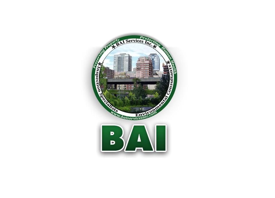 BAI Services Inc.