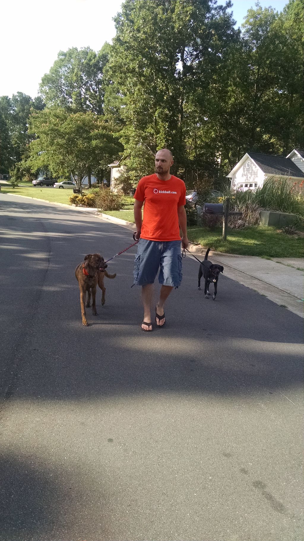 The dog on the left was leash reactive toward neig