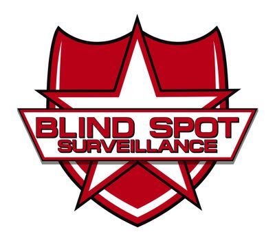 Avatar for Blind Spot Surveillance