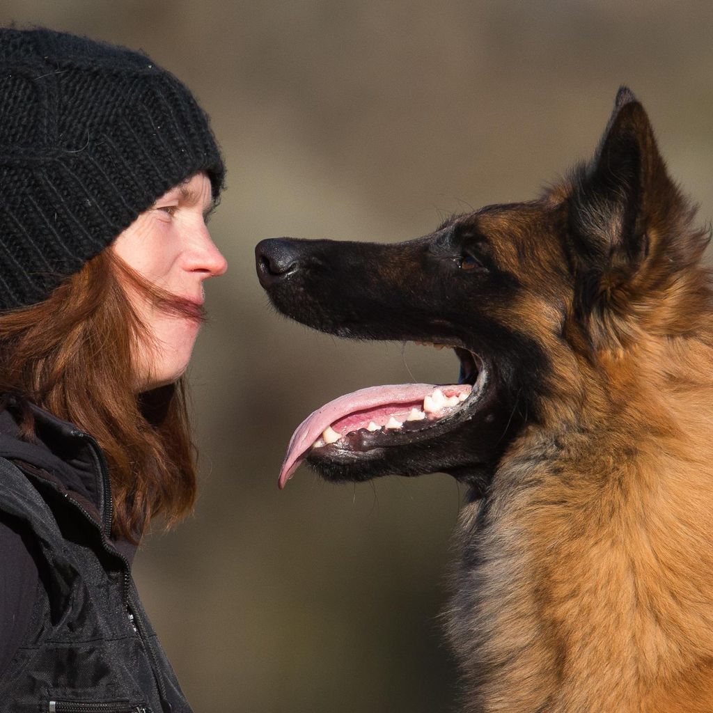 Elissa Cline Dog Training