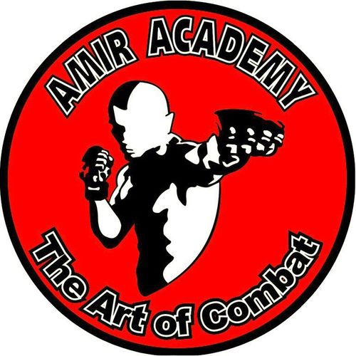 Amir Academy of Martial Arts