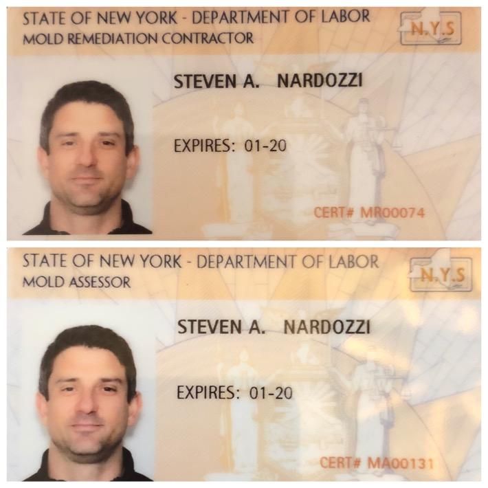 NYS Mold Remediator and Assessor License