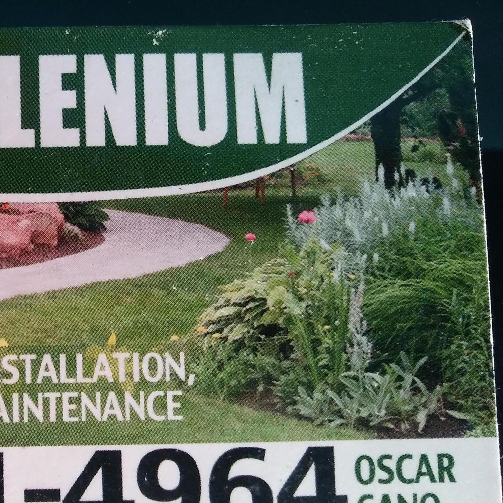 Greenmillenium