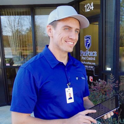 Pest Exterminators Raleigh Nc
