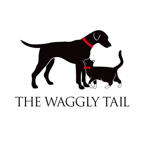 The Waggly Tail provides professional dog walking 