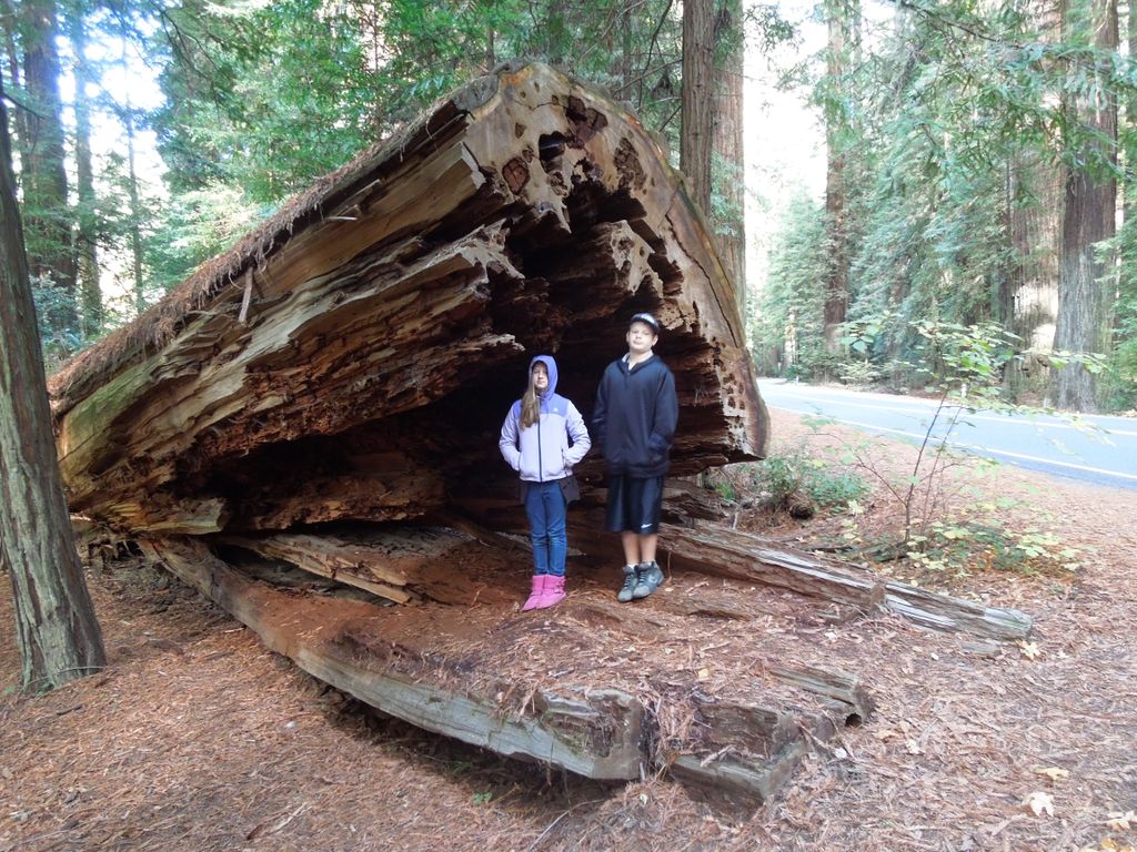 Earth friendly for our future, environment and our