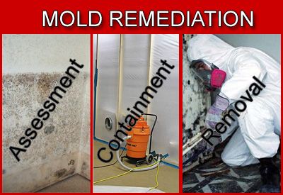 Mold Remediation 