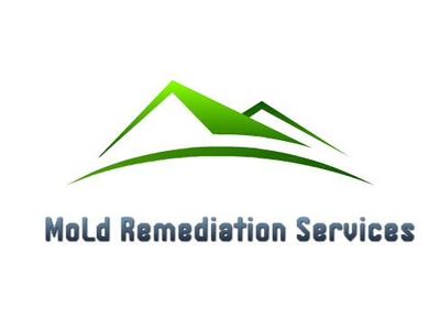 Avatar for Mold Remediation Service