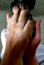 Integration in new family - Some paws are simply b