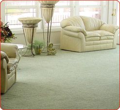Carpet & Upholstery Cleaning, Carpet & Flooring, C