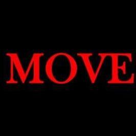 More Than A Move LLC