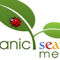 organicsearchmedia.com