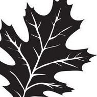 Avatar for Oak Leaf Landscape