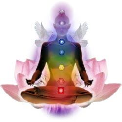 Our body has seven main chakras. Different colours