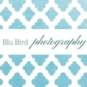 Blu bird photography
