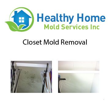 Closet Mold Removal