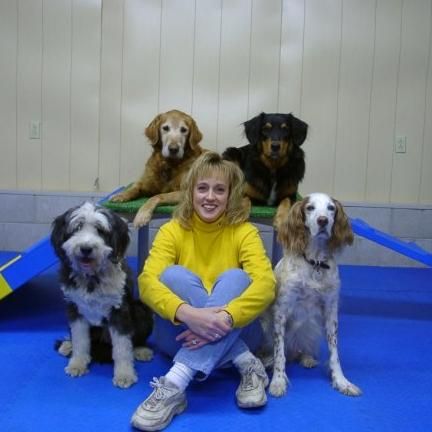 Fawn Richards, LLC - Professional Dog Training