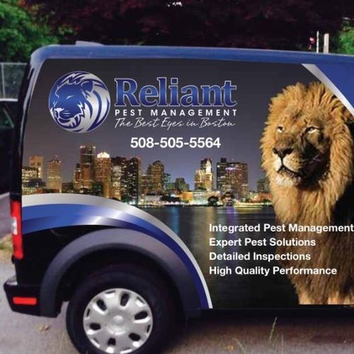 Reliant Pest Management