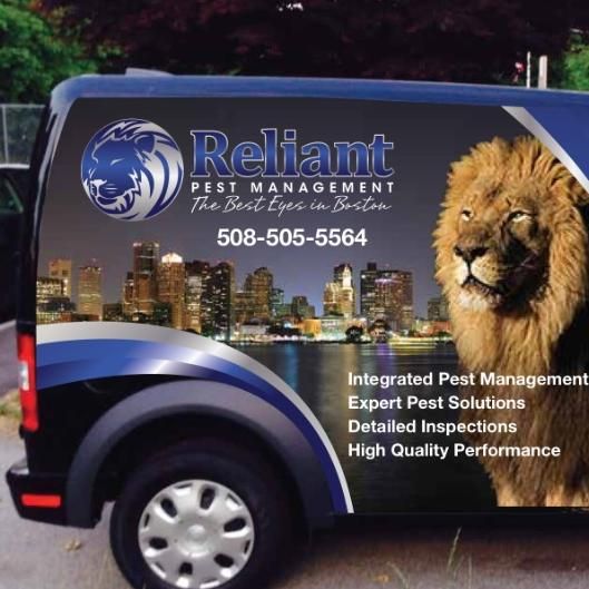 Reliant Pest Management Quincy, MA Thumbtack