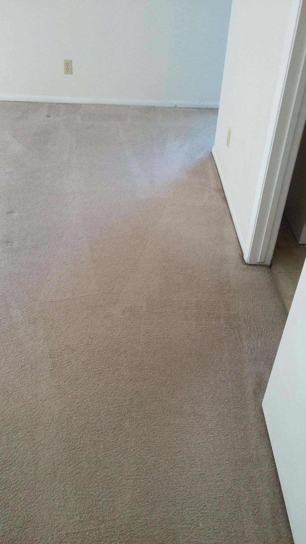 This is the after. I was able to revive the carpet