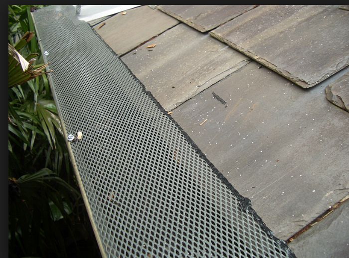 Rain Gutter Protection