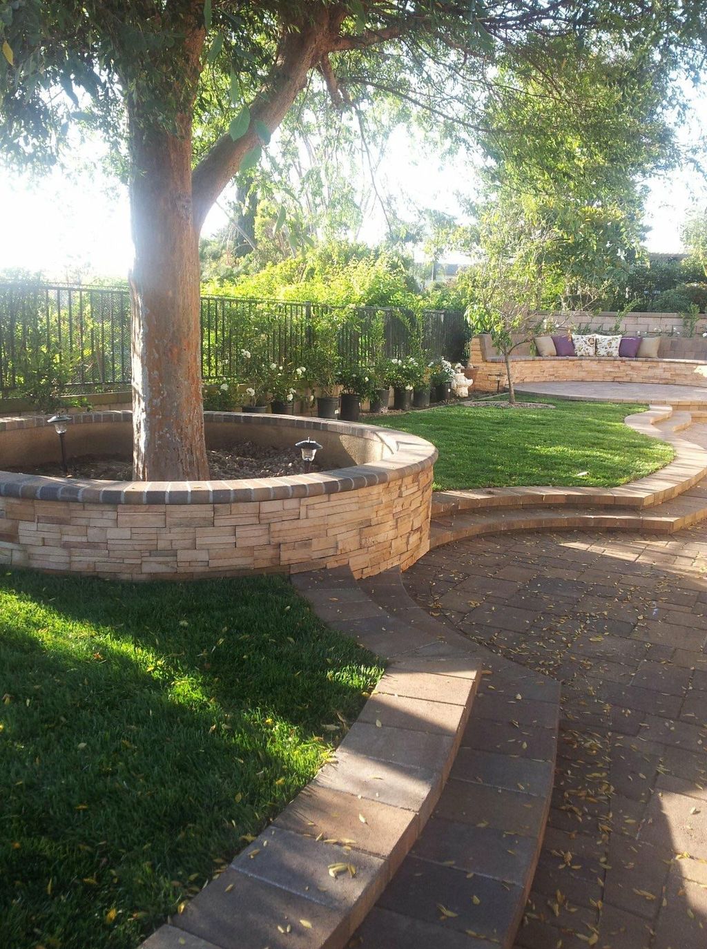 Installed new lawn and lighting