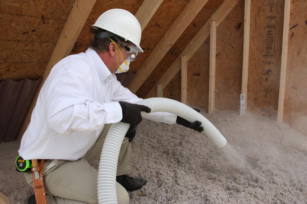 TAP Pest Control Insulation