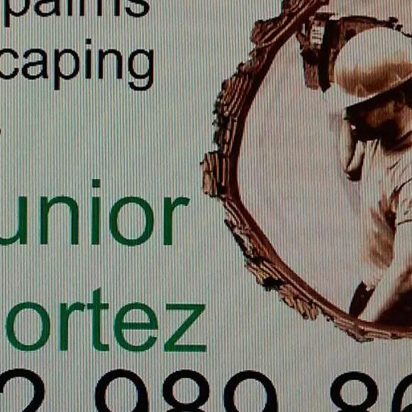 Junior Cortez Tree Service ,More