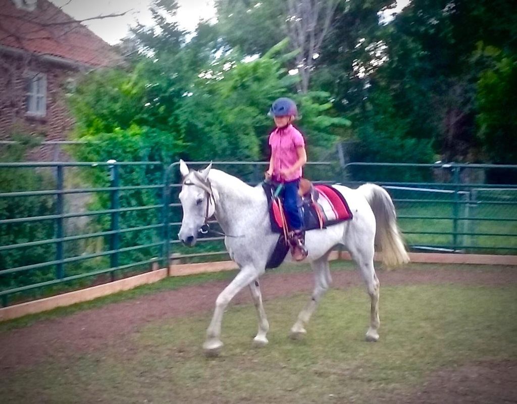 Bella practices the working trot on Cariah. Before