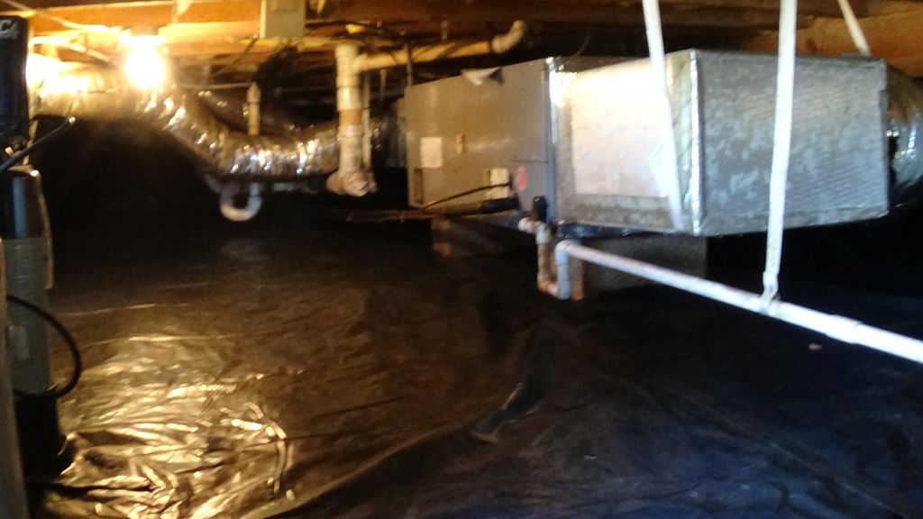 Moisture Barrier, taped, staked at all seams