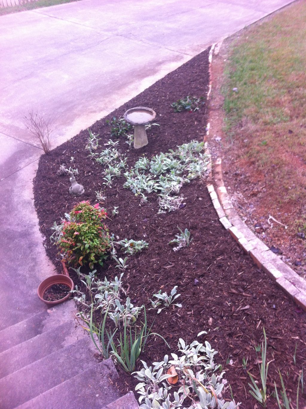 Another flower bed makeover and mulching using exi