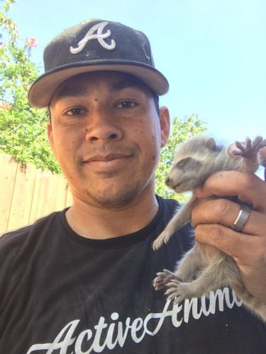 Active Animal Trapping