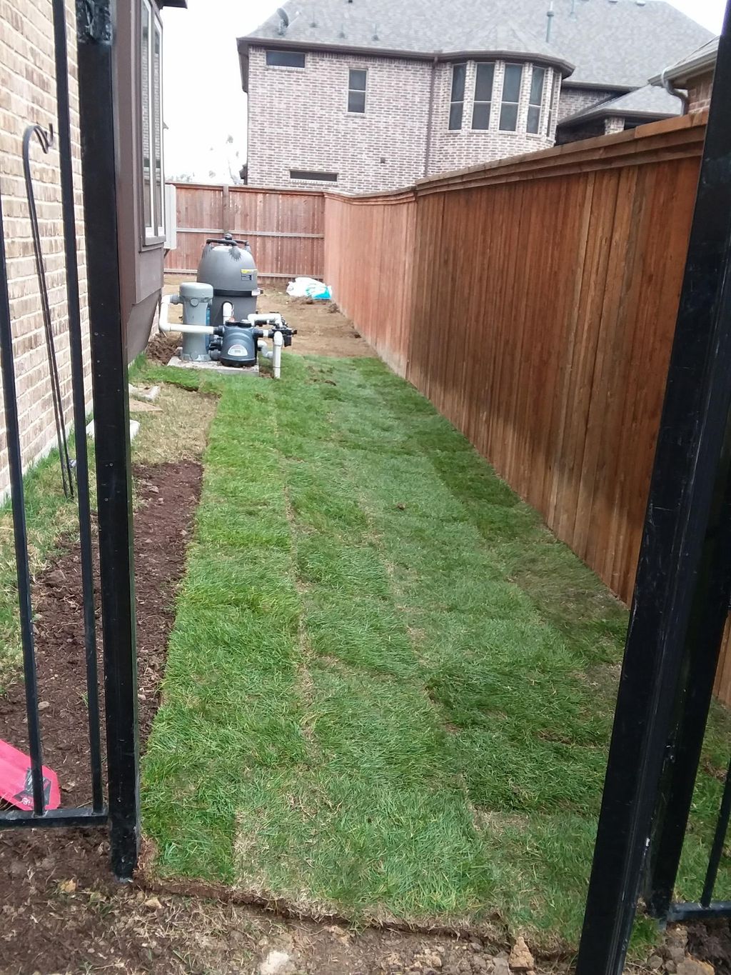 sod I put down 