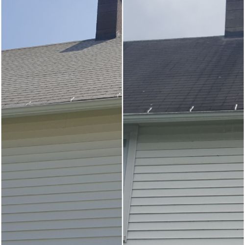 Roof Cleaning with no damage to your roof. 