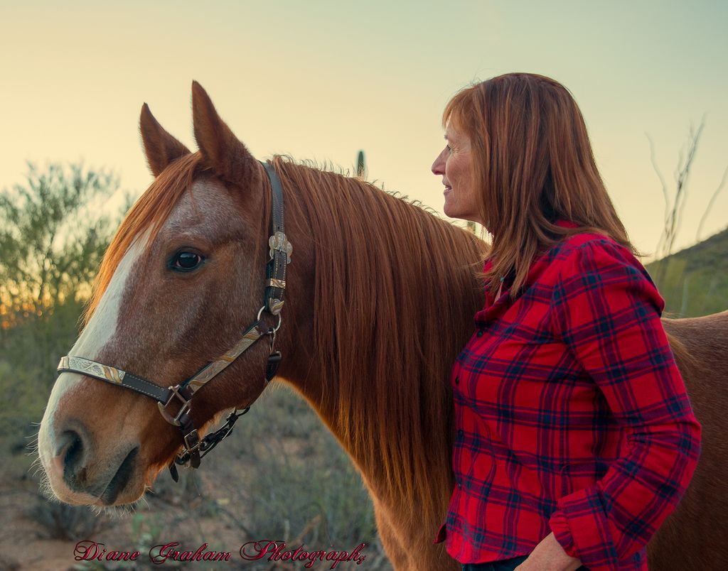 people and animals