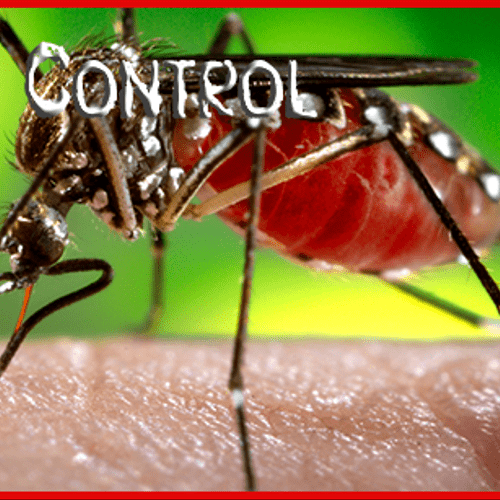 mosquito control techniques new jersey