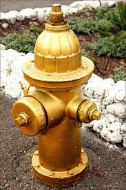 Golden Hydrant