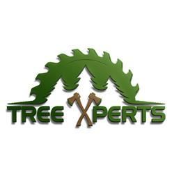 The TreeXperts