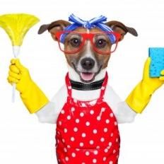 Sparklepup Cleaning and Critter Care