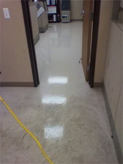 Commercial tile stripping and waxing before and af